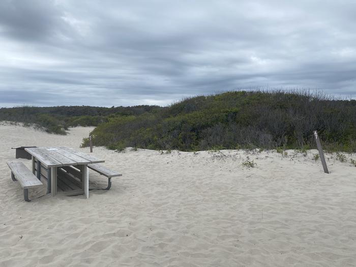 Oceanside site 47 in May 2024.  View of wooden picnic table with black metal fire ring partially obscured behind it.  Sign post with "47" on it at the entrance of the campsite.  Brush behind campsite on the horizon.Oceanside site 47 - May 2024.