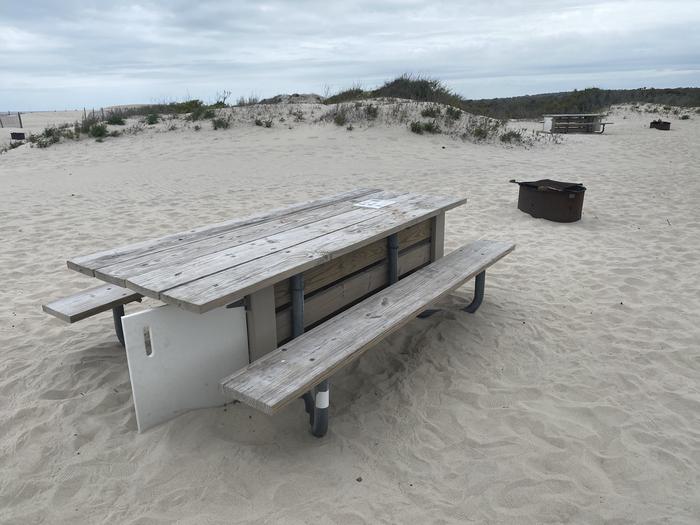 Oceanside site 47 in May 2024.  Close up view of the wooden picnic table and black metal fire ring.  Another campsites picnic table and fire ring are in the background.Oceanside site 47 - May 2024.