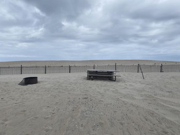 Oceanside site 48 in May.  View of the wooden picnic table and black metal fire ring on sand.  Dune line posts are behind the campsite.Oceanside site 48 in May.