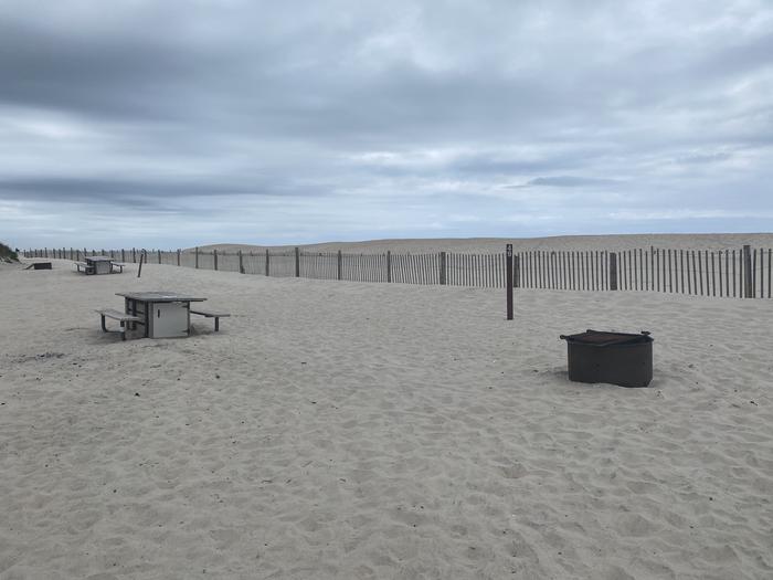Oceanside site 49 in May.  View of wooden picnic table and black metal fire ring.  Sign post that has 49 on it and dune line posts nearby campsite.  Other campsites picnic table and fire ring within view as well.Oceanside site 49 in May.