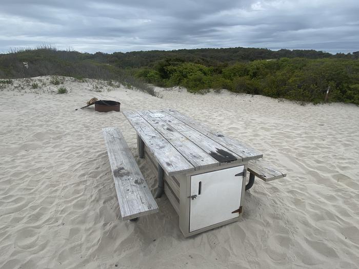 Oceanside site 50 in May.  View is a close up of the wooden picnic table with black metal fire ring behind it on the sand.  Brush on the horizon.Oceanside site 50 in May.