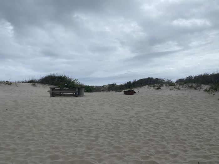 Oceanside site 50 in May.  View of wooden picnic table and black metal fire ring on the sand.  Oceanside site 50 in May.