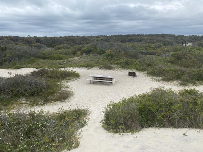 Oceanside site 53 in May.  View from above of the wooden picnic table and black metal fire ring on the sand.  Various pathways of sand converge at this campsite.Oceanside site 53 in May.