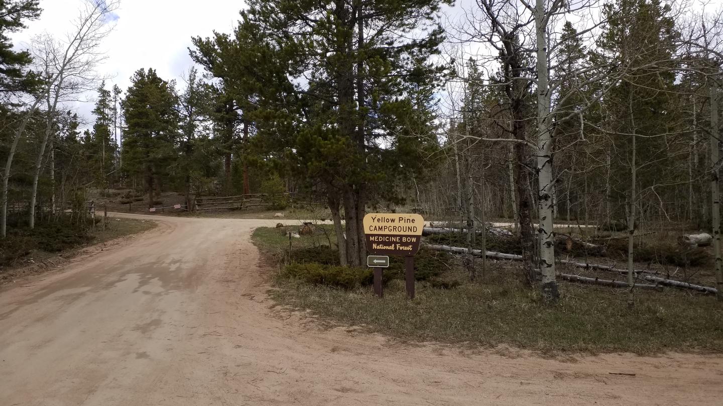 Yellow Pine Campground (Wy)