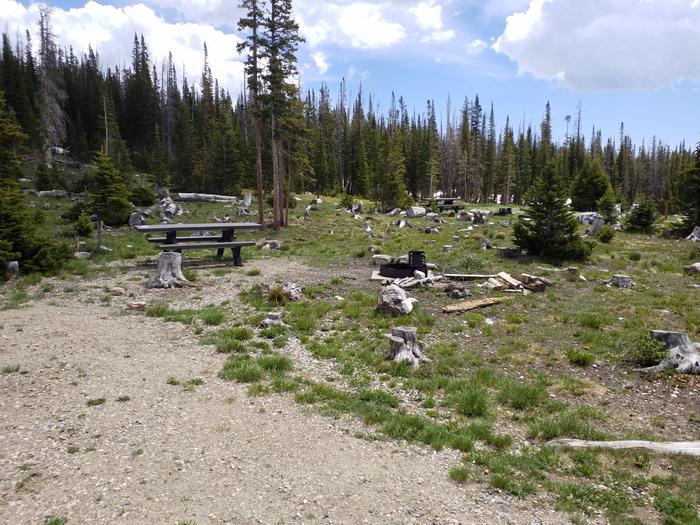 Brooklyn Lake CG site 15 living area