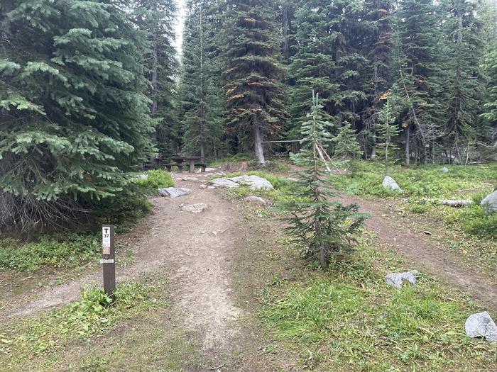 A photo of Site T37 of Loop Anthony Lake at Anthony Lake with Picnic Table