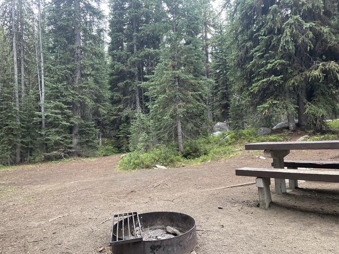 A photo of Site T37 of Loop Anthony Lake at Anthony Lake with Picnic Table, Fire Pit