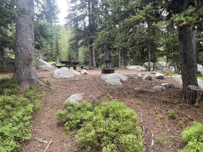 A photo of Site T38 of Loop Anthony Lake at Anthony Lake with Picnic Table, Fire Pit, Shade