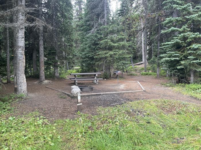 A photo of Site T39 of Loop Anthony Lake at Anthony Lake with Picnic Table, Fire Pit, Shade