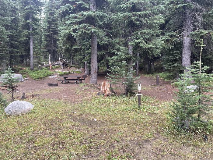 A photo of Site T36 of Loop Anthony Lake at Anthony Lake with Picnic Table, Fire Pit