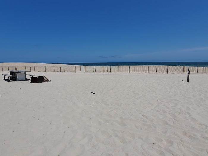 Oceanside site 60 in July.  View of wooden picnic table and black metal fire ring on the sand.  Sign post nearby says 60 on it.  Dune line posts run along the beach on the horizon.Oceanside site 60 in July.
