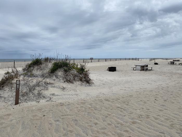 Oceanside site 61 in May. View of the campsite from afar.  Sign post with 61 on it in front of a little dune.  Wooden picnic table and black metal fire ring nearby with dune fencing running along the beach.  Oceanside site 61 in May.