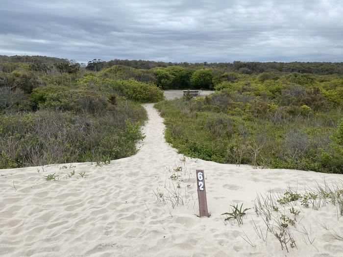 Oceanside site 62 in May.  View of the sandy path to site 62 is surrounded by brush.  Sign post at the entrance of the walkway says 62 on it.  Wooden picnic table can be seen from the view, but black metal fire ring is obscured.Oceanside site 62 in May.