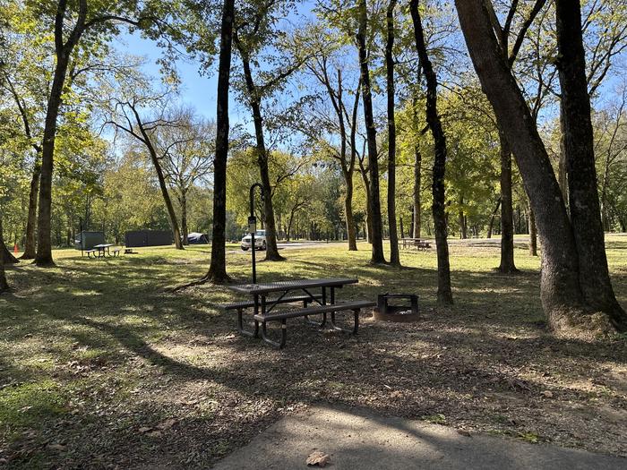 A photo of Site 317 of Loop Loop 300 at ALLEY SPRING with Picnic Table, Fire Pit, Lantern Pole