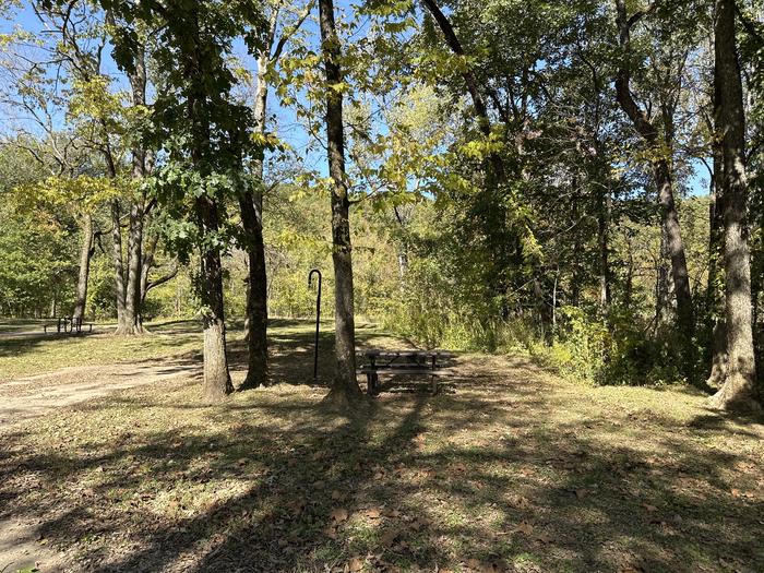 A photo of Site 318 of Loop Loop 300 at ALLEY SPRING with Picnic Table, Fire Pit, Lantern Pole