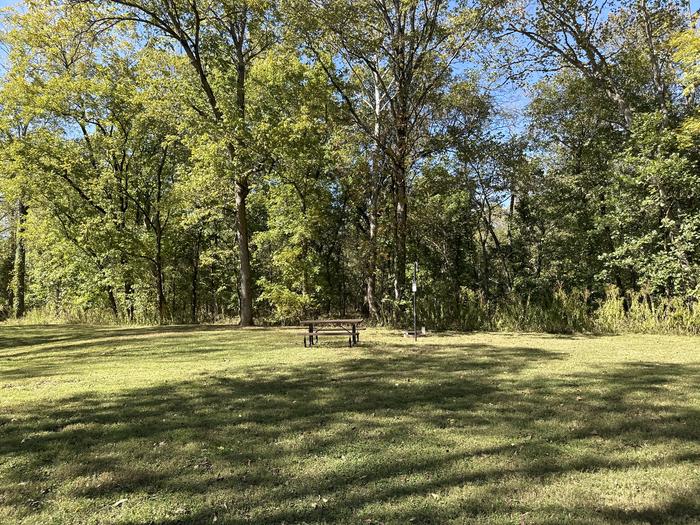 A photo of Site 721 of Loop Loop 700 at ALLEY SPRING with Picnic Table, Fire Pit, Lantern Pole