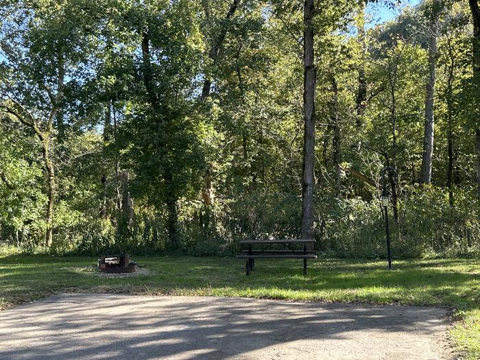 A photo of Site 916 of Loop Loop 900 at ALLEY SPRING with Picnic Table, Fire Pit, Lantern Pole