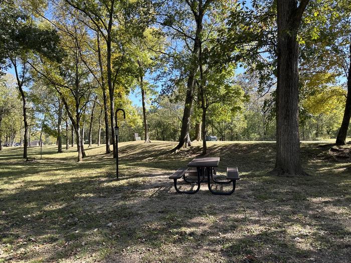 A photo of Site 724 of Loop Loop 700 at ALLEY SPRING with Picnic Table, Fire Pit, Lantern Pole