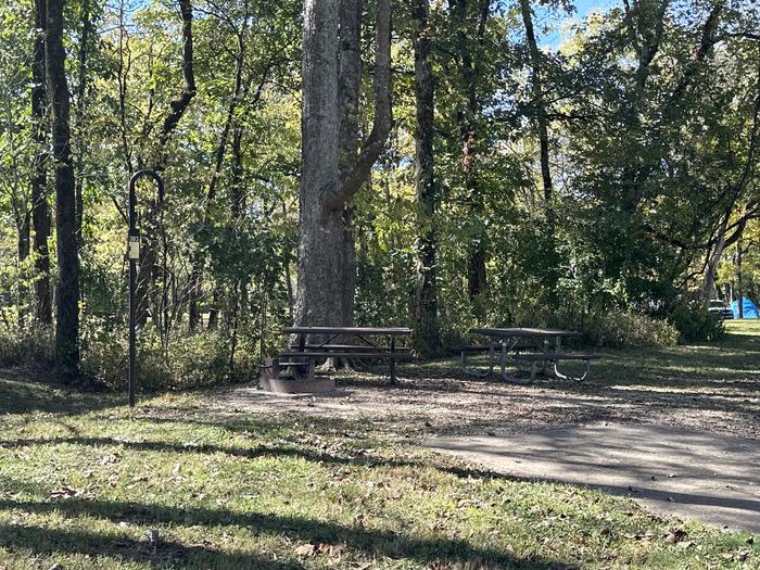 A photo of Site 303 of Loop Loop 300 at ALLEY SPRING with Boat Ramp, Picnic Table, Fire Pit, Lantern Pole