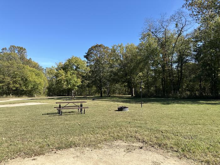 A photo of Site 802 of Loop Loop 800 at ALLEY SPRING with Picnic Table, Fire Pit, Lantern Pole