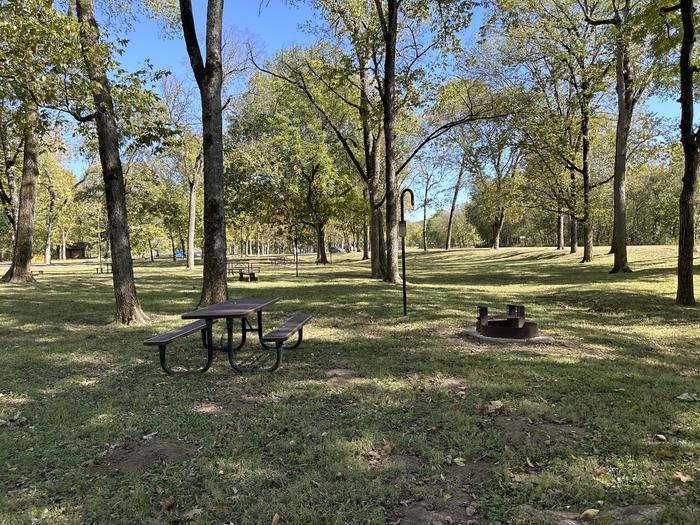 A photo of Site 723 of Loop Loop 700 at ALLEY SPRING with Picnic Table, Fire Pit, Lantern Pole