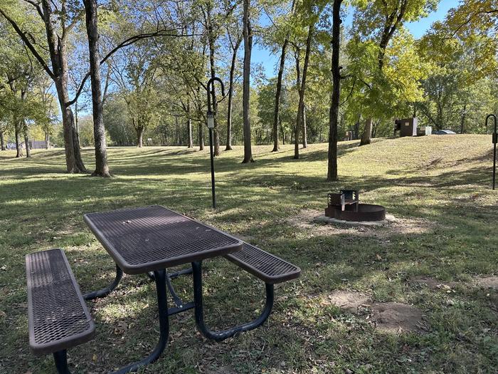 A photo of Site 723 of Loop Loop 700 at ALLEY SPRING with Picnic Table, Fire Pit, Lantern Pole