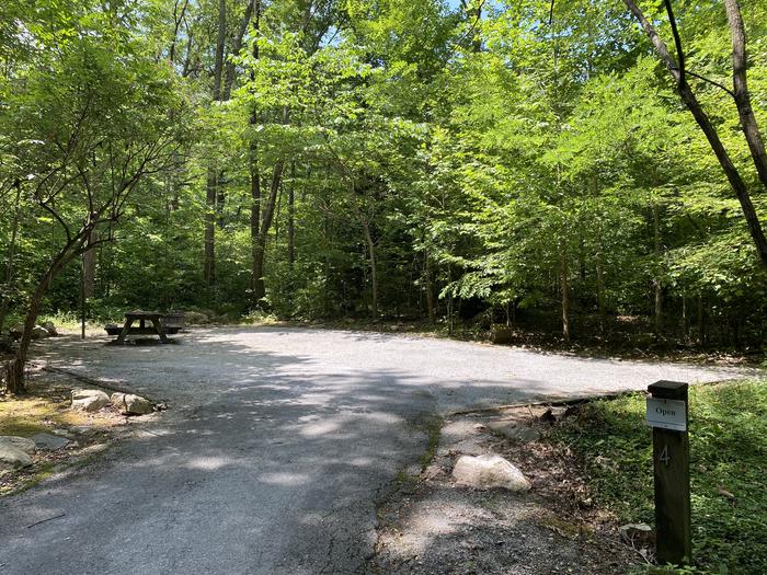 Site 4Fire ring, lantern post, and picnic table are located in the site.