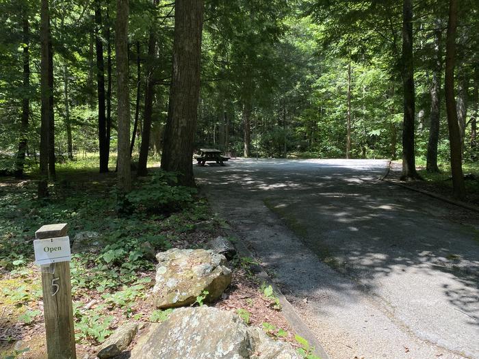 Site 5Fire ring, lantern post, and picnic table are located in the site.