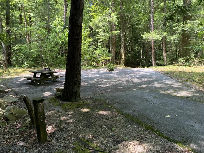 Site 6Fire ring, lantern post, and picnic table are located in the site.