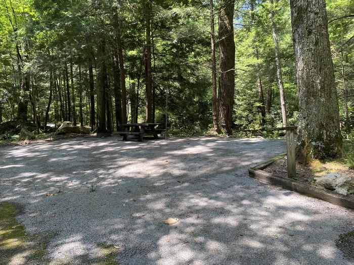 Site 7Fire ring, lantern post, and picnic table are located in the site.