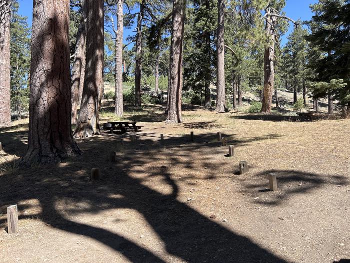 A photo of Site 4 of Loop Grassy Hollow at Grassy Hollow with Picnic Table, Fire Pit, Shade