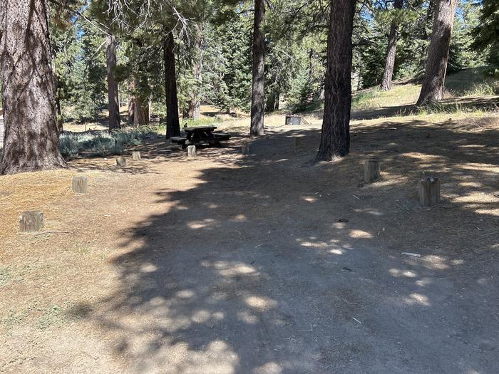 A photo of Site 8 of Loop Grassy Hollow at Grassy Hollow with Picnic Table, Fire Pit, Shade