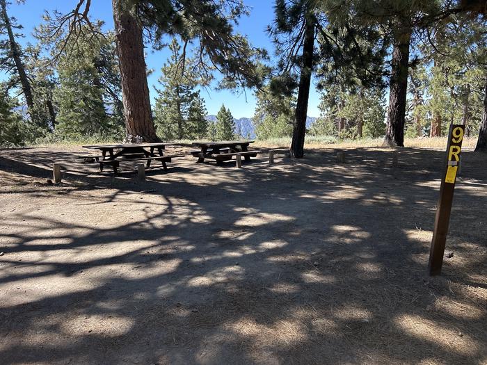 A photo of Site 9 of Loop Grassy Hollow at Grassy Hollow with Picnic Table, Fire Pit, Shade