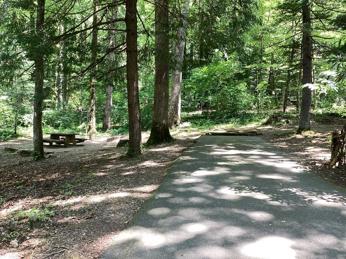 A photo of Site 26 of Loop CAROLINA HEMLOCKS REC AREA at CAROLINA HEMLOCKS REC AREA with Picnic Table, Fire Pit, Lantern Pole