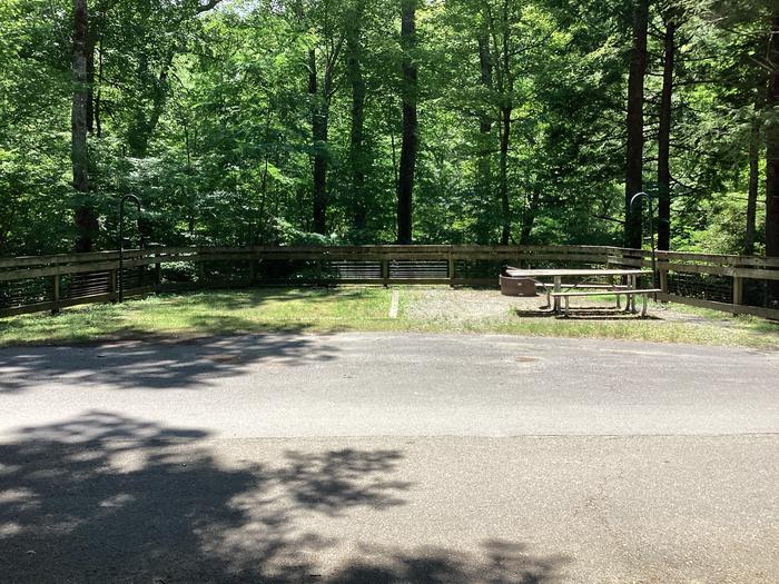 A photo of Site 04 of Loop CAROLINA HEMLOCKS REC AREA at CAROLINA HEMLOCKS REC AREA with Picnic Table, Fire Pit, Tent Pad, Lantern Pole