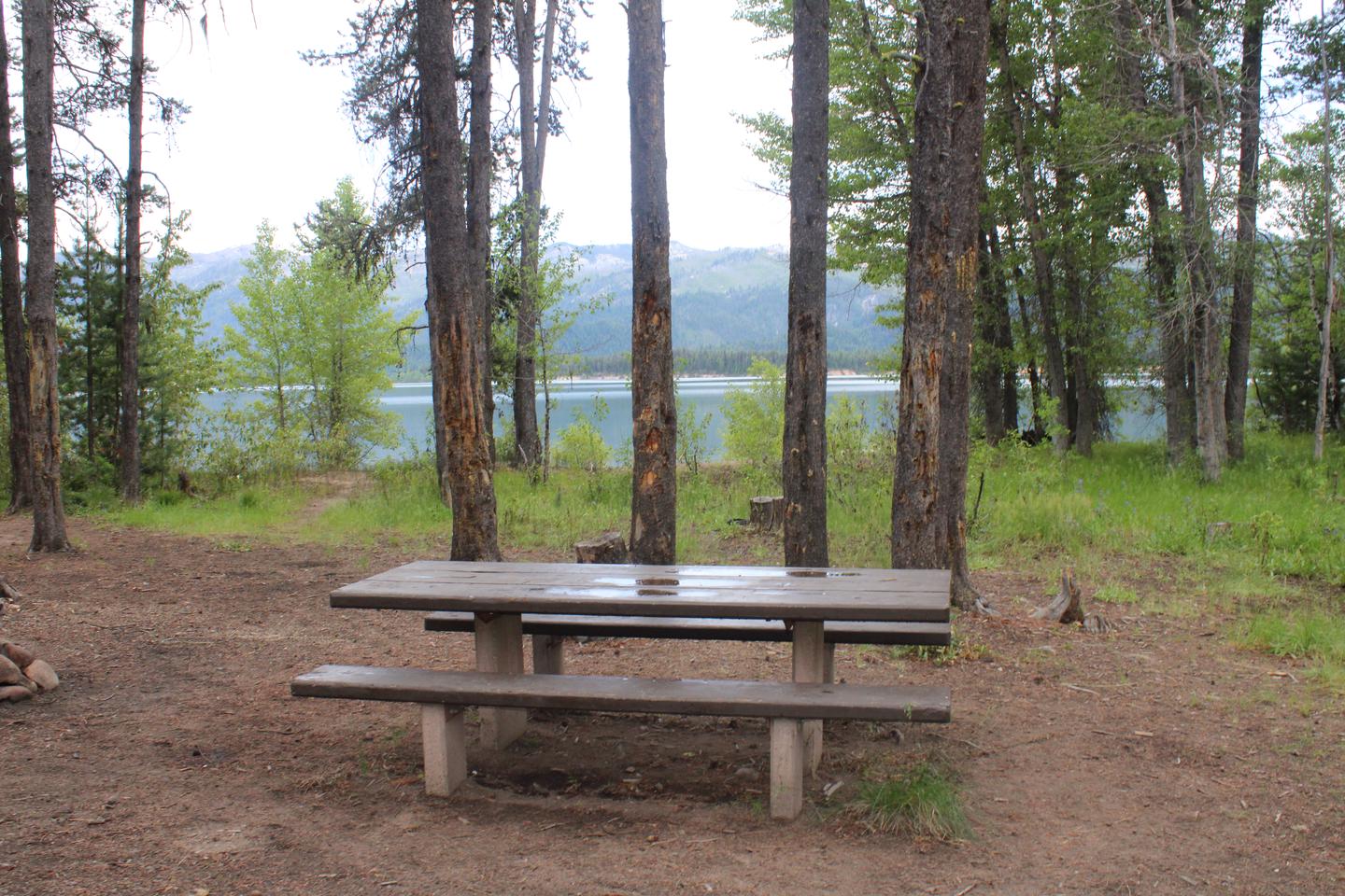 Site picnic table. Trees and reservoir in background Picnic table