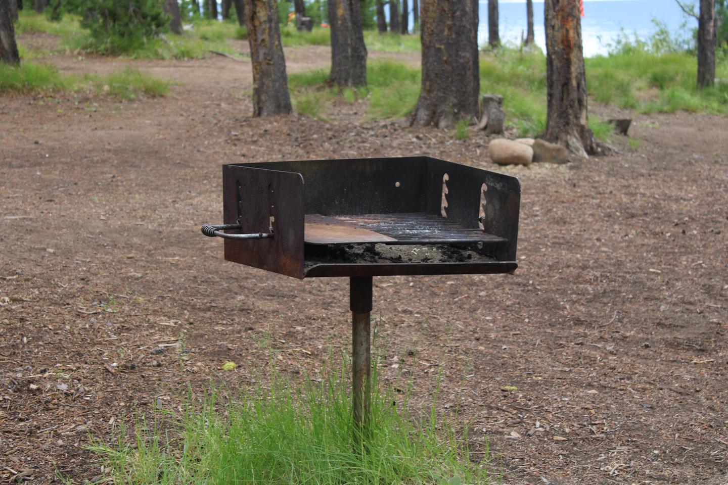 Campsite Grill. A shrub is growing at the base of the grillCampsite 4 Grill