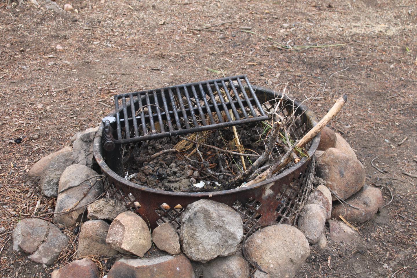 Fire ring and grill with sticks in the ringCampsite 4 Fire ring and grill