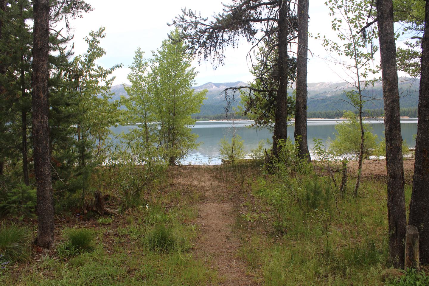 Deadwood Reservoir visible behind treesView of Deadwood Reservoir from site 4