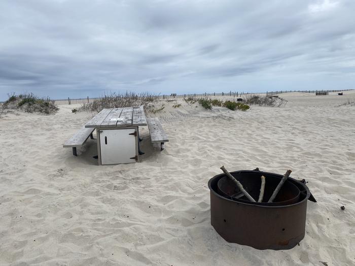 Oceanside site 63 in May.  Close up view of black metal fire ring and wooden picnic table on the sand.  There are some wooden branches in the fire ring.Oceanside site 63 in May.