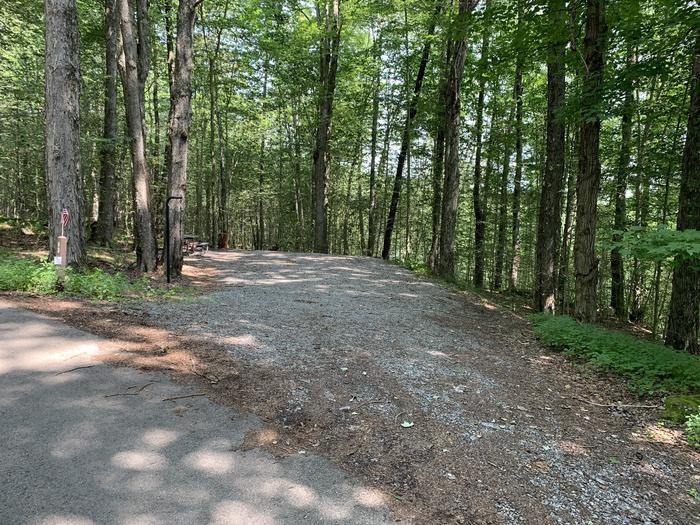 A photo of Site 17 of Loop East Branch at East Branch Campground with Picnic Table, Electricity Hookup, Fire Pit, Shade, Lantern Pole