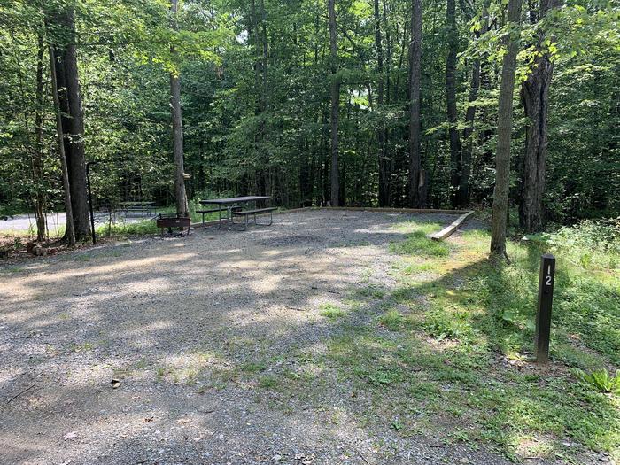 A photo of Site 12 of Loop East Branch at East Branch Campground with Picnic Table, Electricity Hookup, Fire Pit, Shade, Lantern Pole