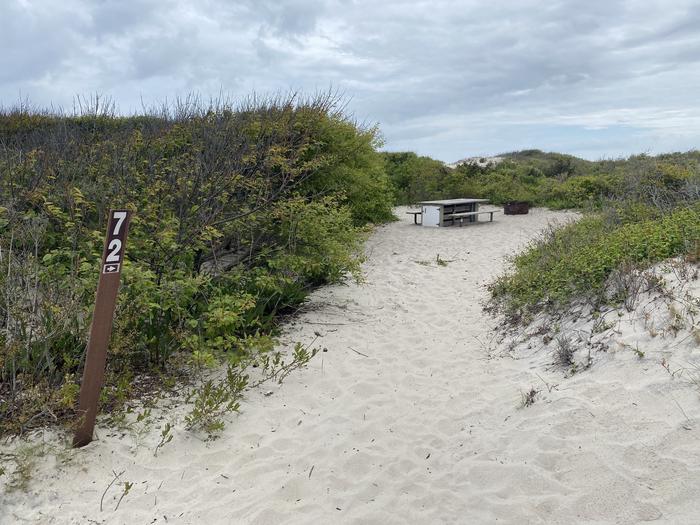 Oceanside site 72 in May 2024.  View is from the entrance of the campsite.  The signpost that says "72" is closest to the viewer.  Wooden picnic table and black metal fire ring on the sand which is further back.Oceanside site 72 - May 2024.