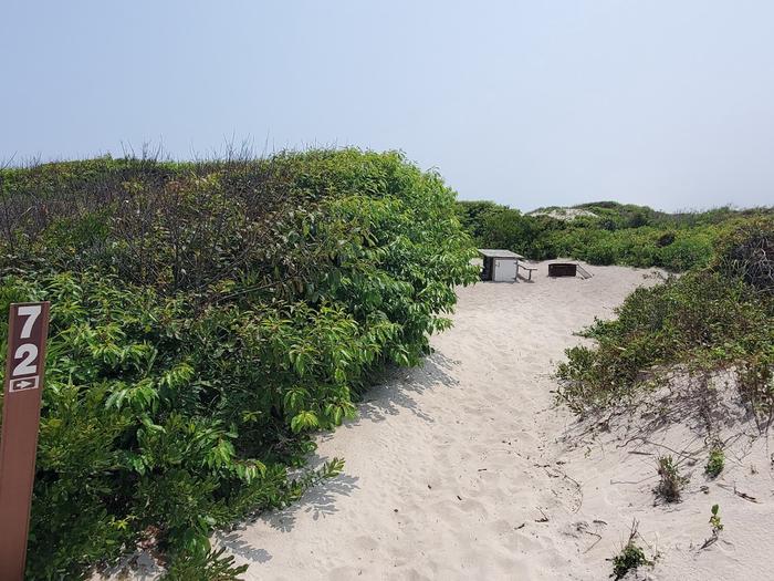 Oceanside site 72 in July 2023.  Signpost is the closest to the viewer and it says "72" on it.  Brush surrounds the sandy pathway that leads to the campsite.  Wooden picnic table and black metal fire ring are at the center of the campsite with brush surrounding them.Oceanside site 72 - July 2023.