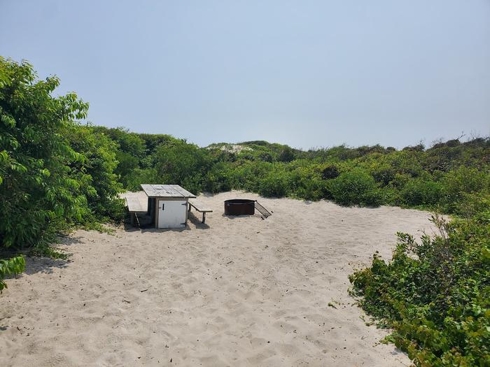 Oceanside site 72 in July 2023.  View is of the wooden picnic table and black metal fire ring on the sand.  Brush surrounds the campsite.Oceanside site 72 - July 2023.