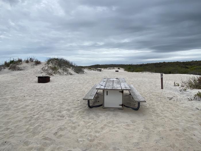 Oceanside site 73 in May.  View of wooden picnic table and black metal fire ring.  Sign post nearby says 73 on it.  Other campsites within the view past a dune.Oceanside site 73 in May.