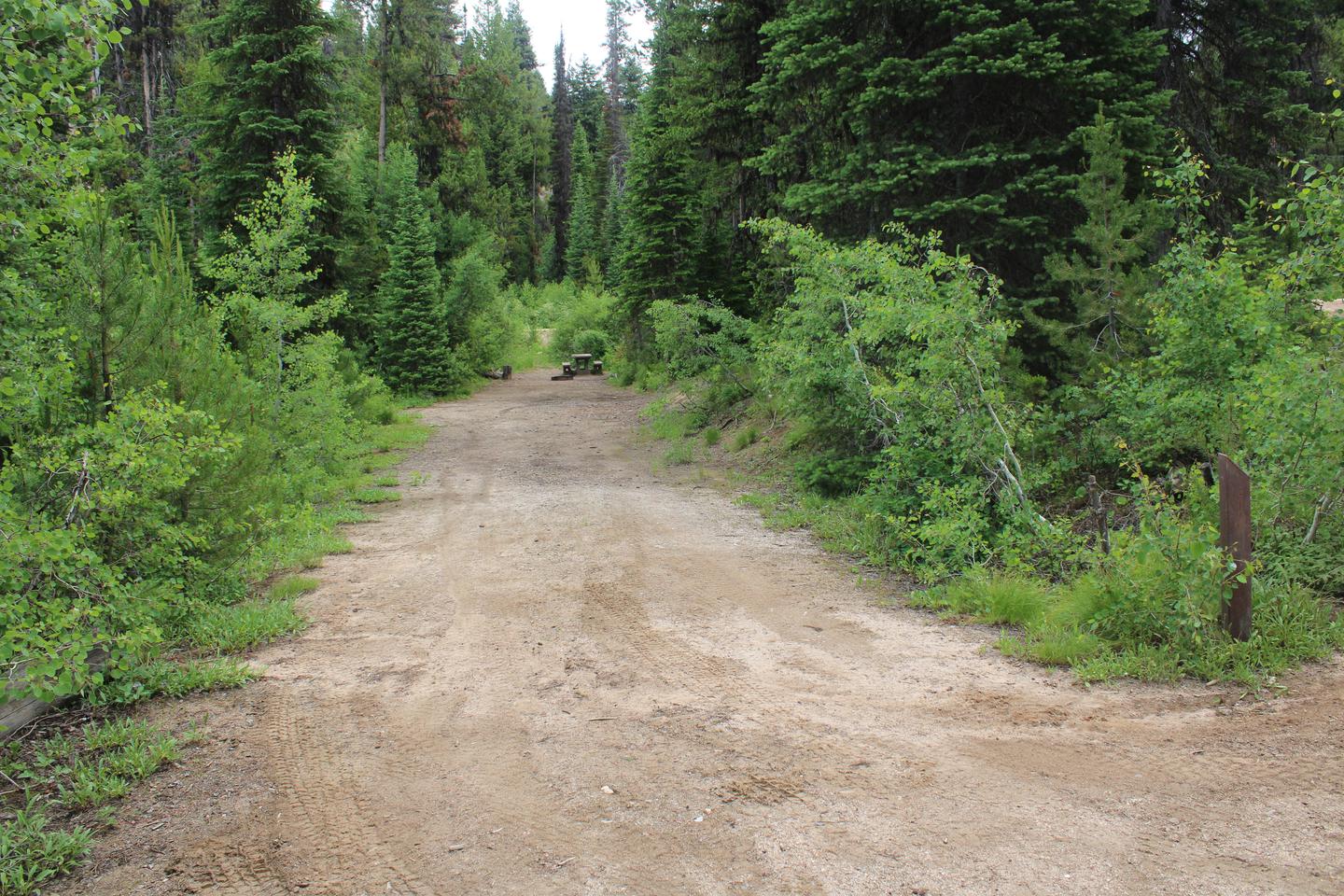 Site 1 trailer pull through, a dirt road with trees surrounding it  Site 1 trailer pull through 