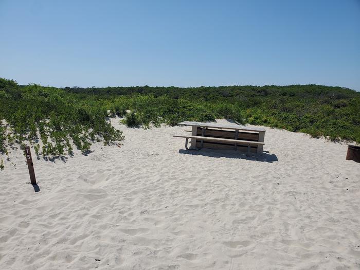 Oceanside site 75 in August.  View of sign post that says 75 on it.  Wooden picnic table is nearby on the sand and the black metal fire ring is partially in the view.  Brush surrounding the campsite on the horizon.Oceanside site 75 in August.
