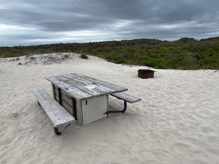 Oceanside site 75 in May.  Close up view of the wooden picnic table with the black metal fire ring behind it.  Both are on the sand.  Brush along the horizon.Oceanside site 75 in May.