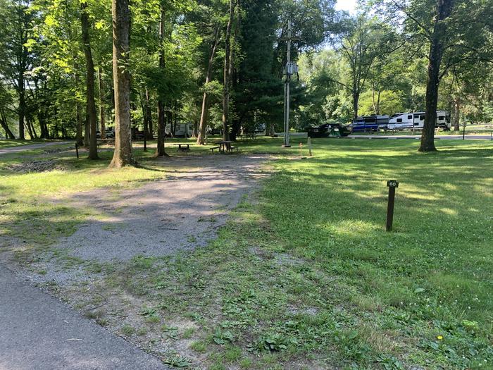 A photo of Site 060 of Loop 2 at TIONESTA REC. AREA CAMPGROUND with Picnic Table, Shade